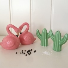 salero flamenco cactus